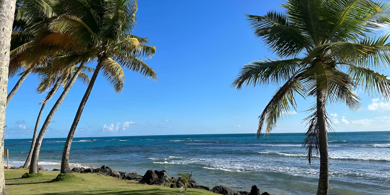 Ocean Realty PR | Coastal Studio Sanctuary