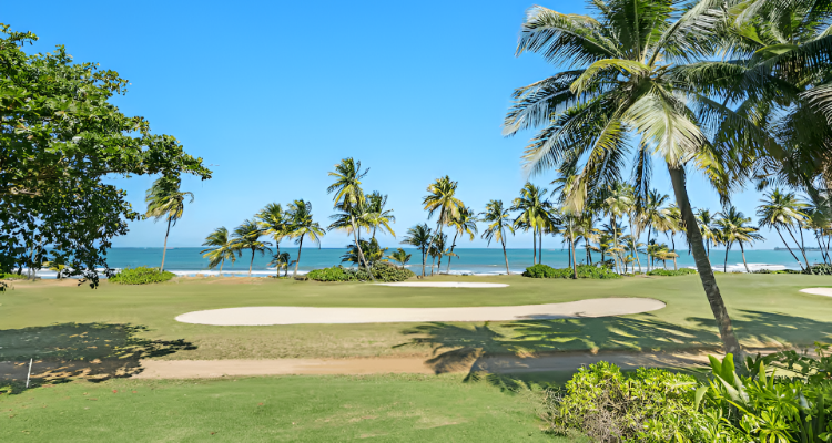 Family Beach Haven